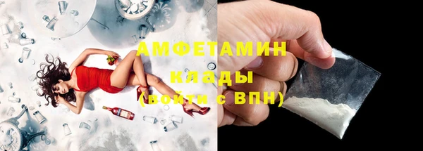 амф Дмитров