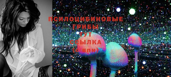 дурь Дмитриев