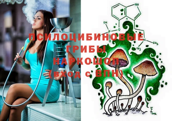 гидра Дмитровск