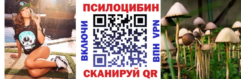 Галлюциногенные грибы MAGIC MUSHROOMS  продажа наркотиков  Дмитровск 